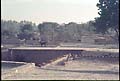 301020076.jpg