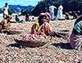 301410229.jpg