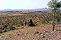 301420015.jpg