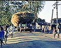 301420031.jpg