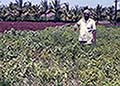 301420037.jpg