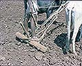 301420038.jpg