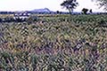 301420050.jpg
