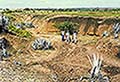 301420064.jpg