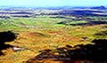 301420066.jpg