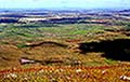 301420068.jpg