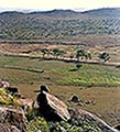 301420079.jpg