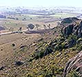 301420082.jpg