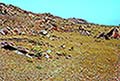 301420086.jpg