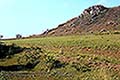 301420087.jpg