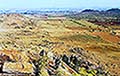 301420089.jpg