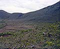301420103.jpg