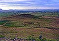 301420104.jpg