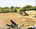 301420124.jpg