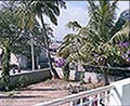 301420125.jpg