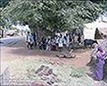 301420234.jpg