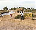 301420264.jpg