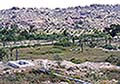 301420315.jpg