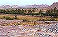 301420324.jpg