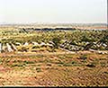301420371.jpg