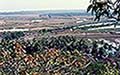 301420434.jpg