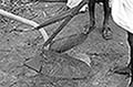 301430037.jpg