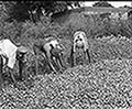 301430056.jpg