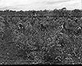 301430064.jpg