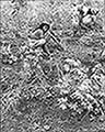 301430071.jpg