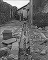 301430079.jpg