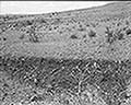 301430107.jpg