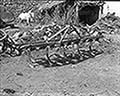 301430135.jpg