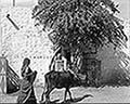 301430153.jpg