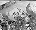 301430166.jpg