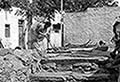 301430173.jpg