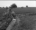 301430186.jpg
