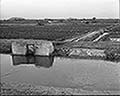 301430193.jpg