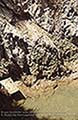 301440126.jpg