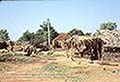 301450079.jpg