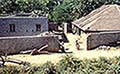 301450104.jpg
