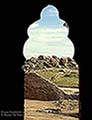 301450246.jpg
