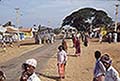 301450264.jpg