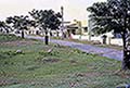 301470007.jpg