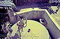 301470062.jpg