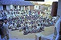 301470167.jpg