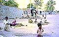301470294.jpg