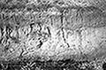 301480016.jpg