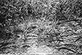 301480028.jpg