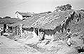 301480044.jpg