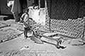 301480048.jpg